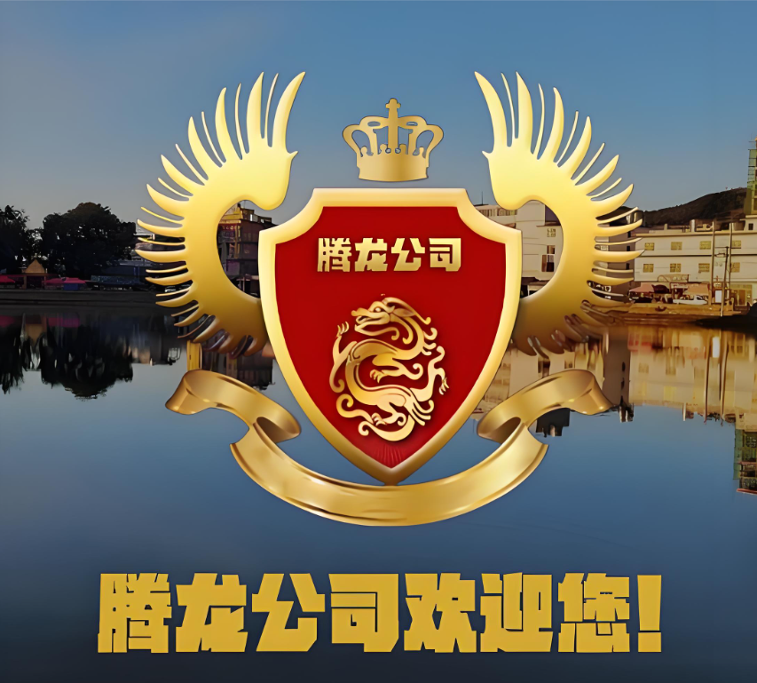 运营成果展示